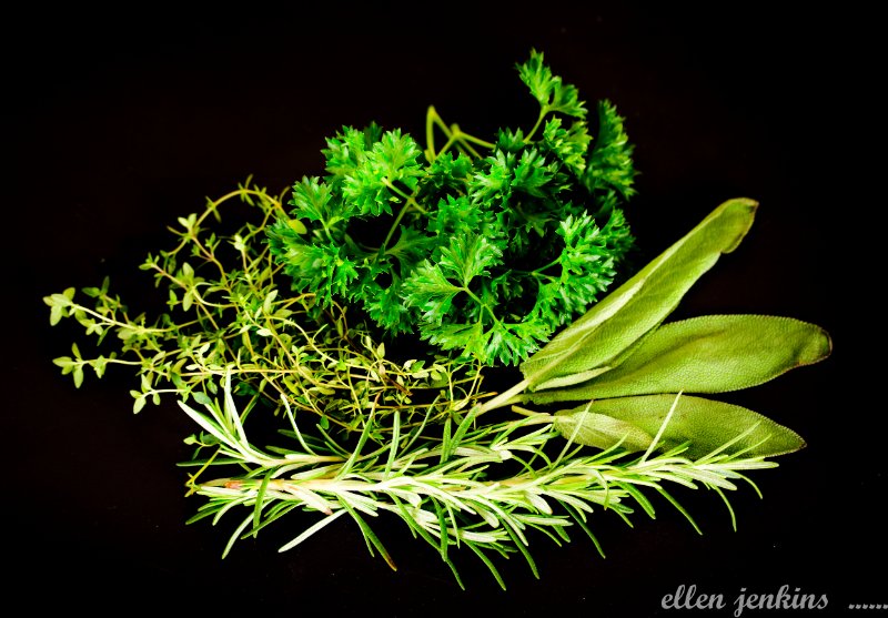 Parsley, Sage, Rosemary and Thyme Carlisle garden.jpg