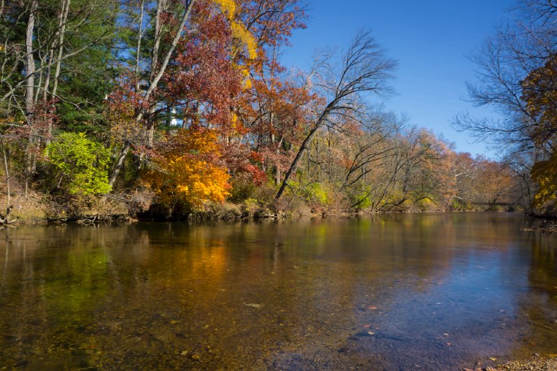 Autumn at Messiah, PA.jpg