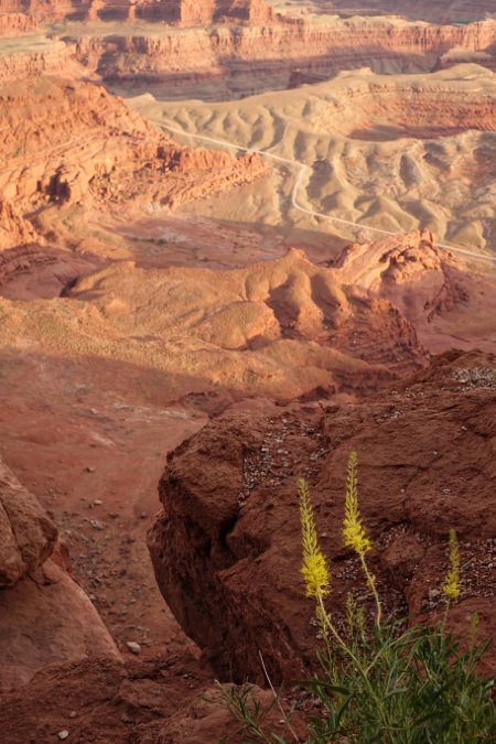 Canyonlands National Park, Utah.JPG