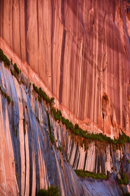 Navajo Sandstone, Glen Canyon, Arizona.JPG