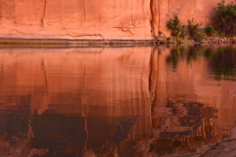 Reflection, Colorado River.JPG