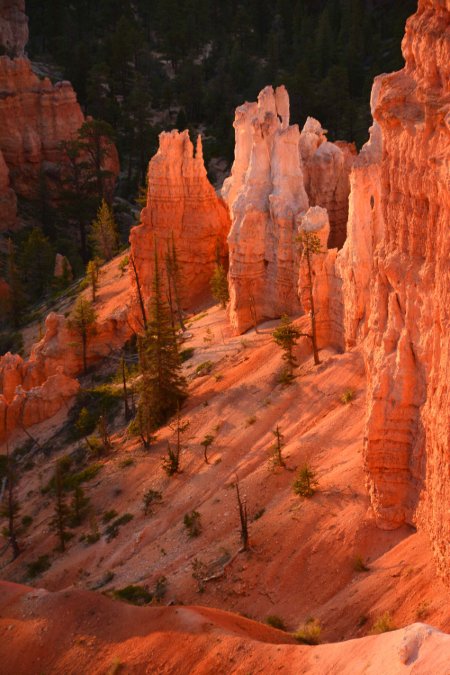 Sunrise 1 Bryce Canyon National Park.JPG