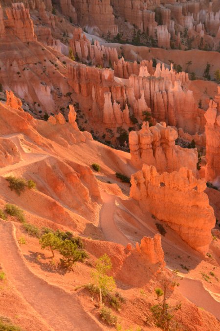 Sunrise 11, Bryce Canyon, National Park.JPG