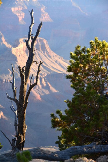 Sunrise, Grand Canyon.JPG